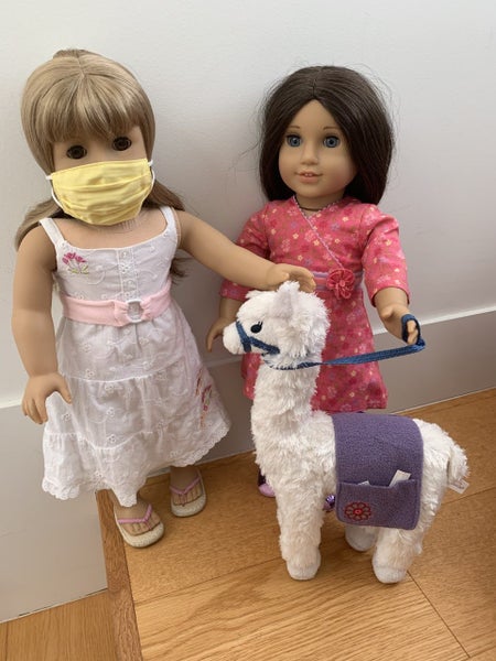 American Girl 18" Doll "FACE MASK" ~ OMG this is SO precious! MUST HAVE Carousel 1