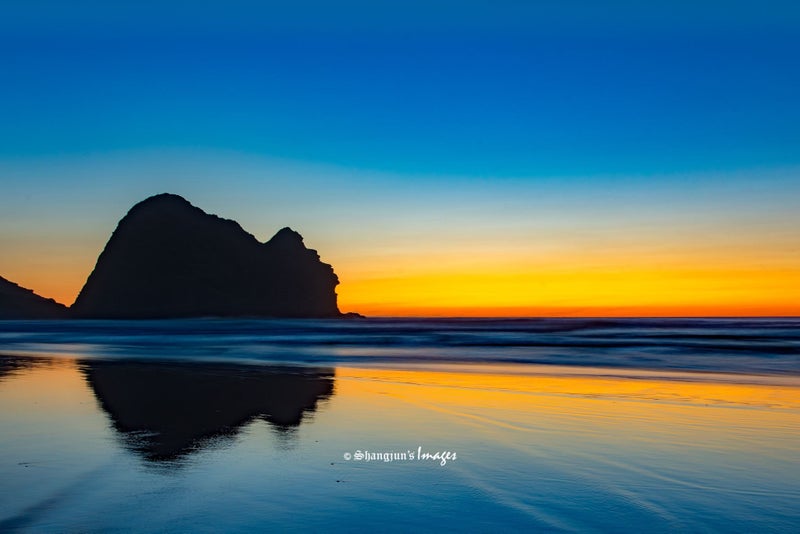Camel Rock in Piha Beach Photo Canvas Print – free delivery Carousel 1