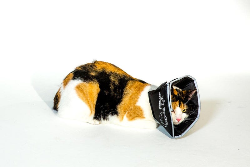 COMFY CONE XTRA LARGE 30CM NECK TO SNOUT / NECK 46CM to 58CM Carousel 13