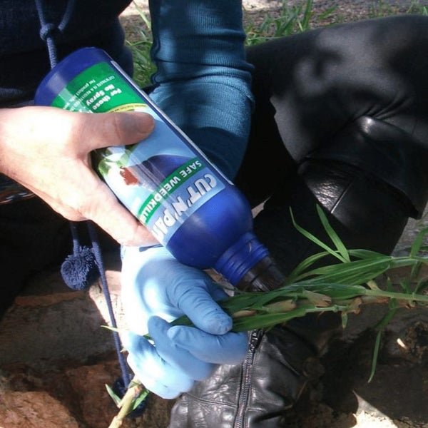 CUT'N'PASTE - ORIGINAL WEEDKILLER GEL - IN A 450ML APPLICATOR BOTTLE Carousel 2