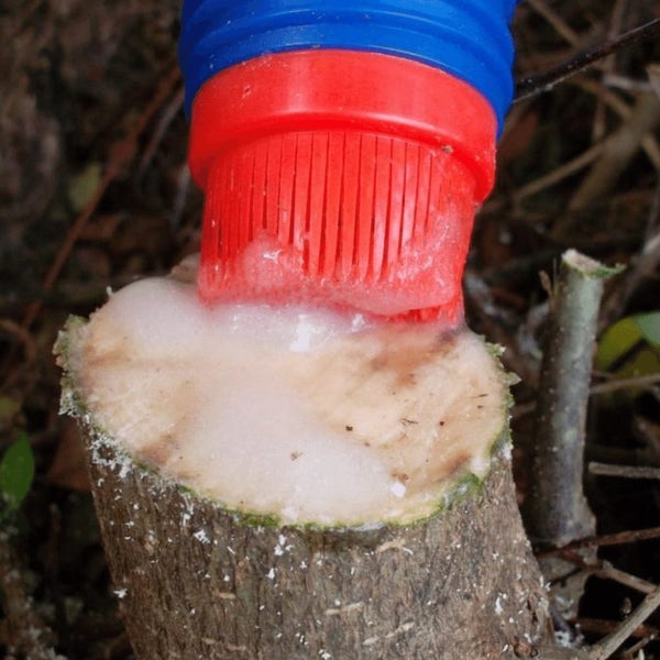 CUT'N'PASTE - REPLACEMENT APPLICATOR BRUSH AND CAP - for your 450ml bottle Carousel 2