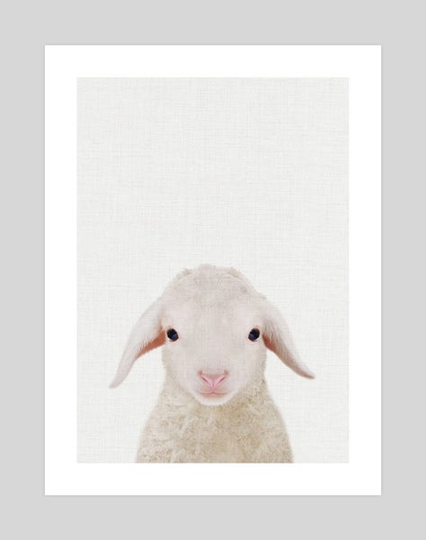 Baby Lamb Peekaboo Art Print Carousel 1