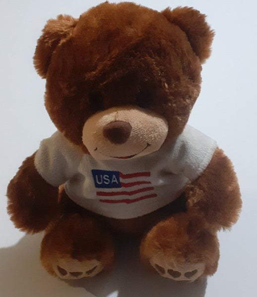 Teddy Bear - I Love USA ^ Carousel 1