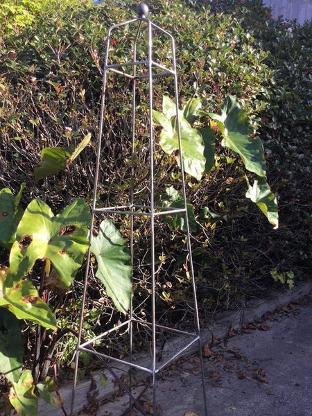 OBELISK - - GARDENERS FAVOURITE Carousel 4