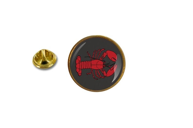 pins pin's badge metal lapel hat button lobster Carousel 1