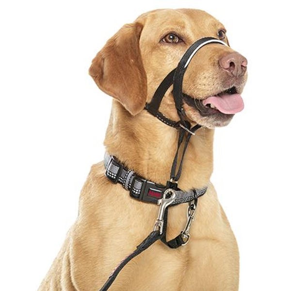 HALTI HEADCOLLAR - STOPS DOGS PULLING SIZE 2 BLACK Carousel 2