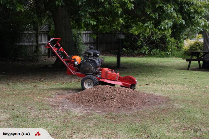 Stump grinding, Tree removal and pruning Carousel 1