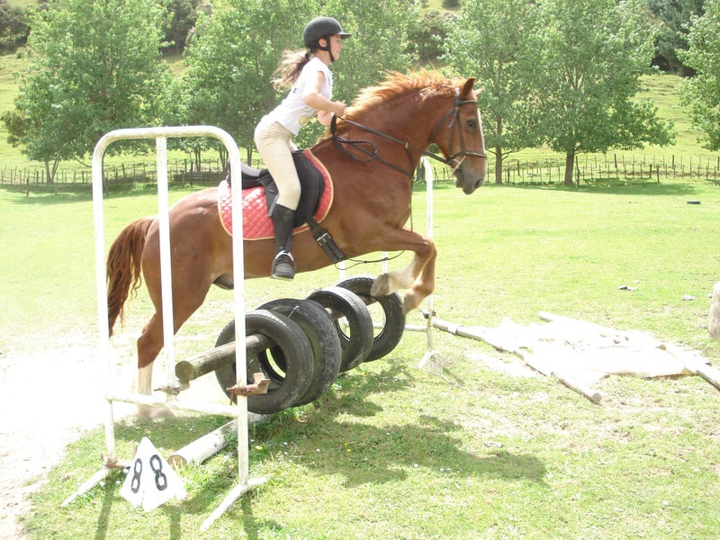 Riding Lessons - farm camps Carousel 20