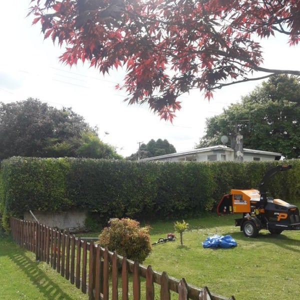 Tree Work Aborist service Trade Me Services