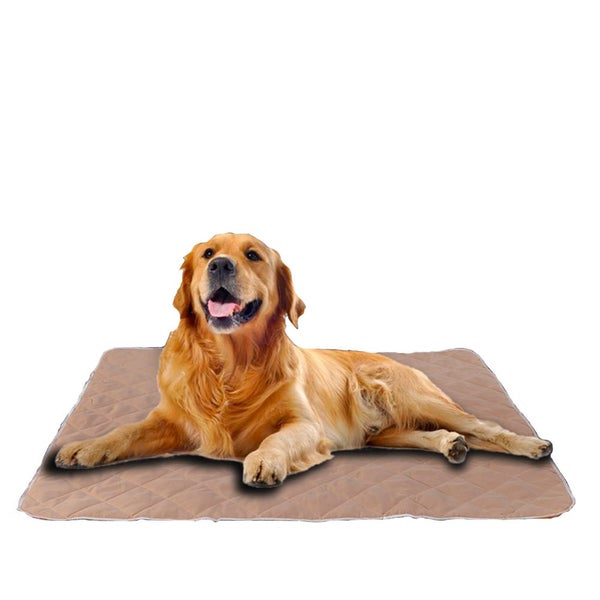 Pawz 2 Pcs 90x90 cm Reusable Waterproof Pet Puppy Toilet Training Pads XXL Carousel 1
