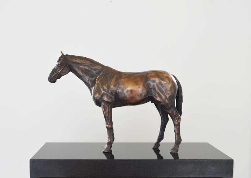 Limited Edition Bronze Sculpture Champion Sire Horse Tavistock by NZ Artist Carousel 2
