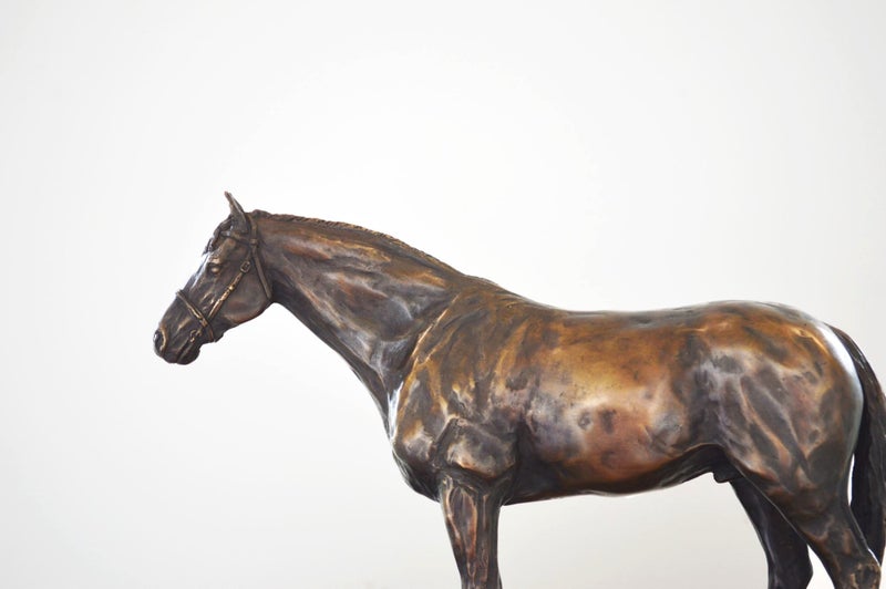 Limited Edition Bronze Sculpture Champion Sire Horse Tavistock by NZ Artist Carousel 1