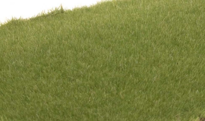 Woodland Scenics FS614 Static Grass 2mm Medium Green Carousel 1