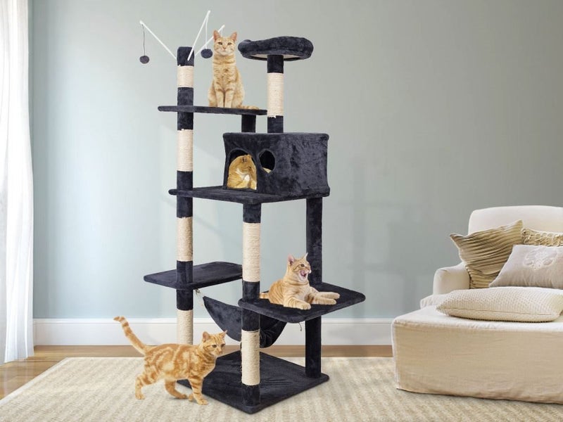 Cat Tree Carousel 2