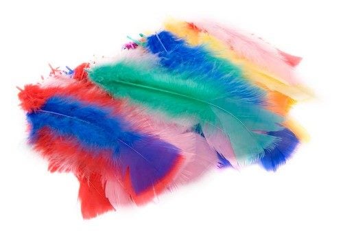 Craft - 45pc Feathers Assorted Colours Carousel 1