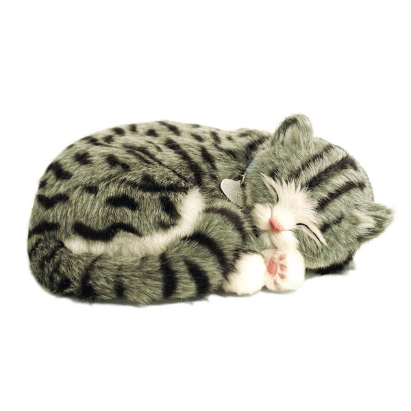Perfect Petzzz - Grey Tabby Bundle Carousel 1