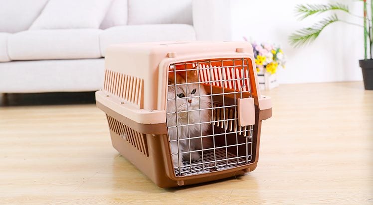 Pet travel carrier or cage dog cage cat carrier airline travel cage- Large size Carousel 11