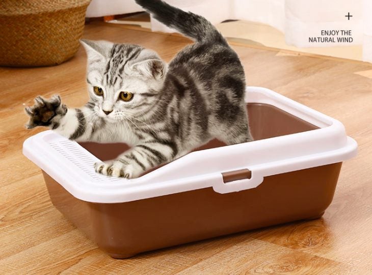 Cat Litter Box cat Toilet For Sandbox Cat Litter Box Cat Sand Basint Size Medium Carousel 2
