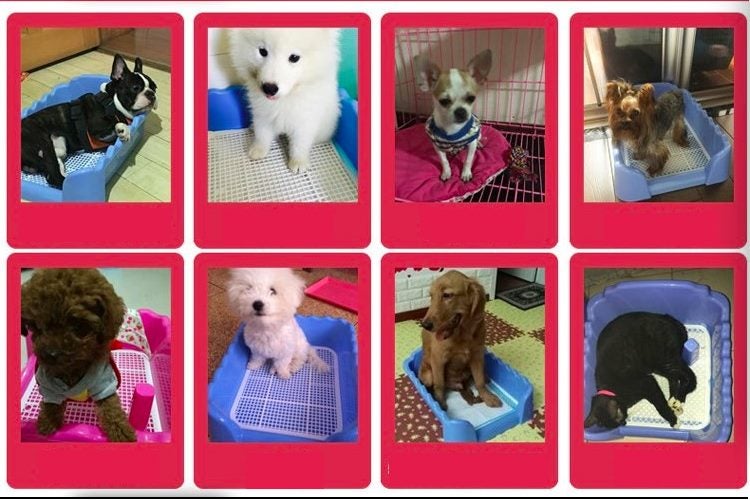 Portable Pet dog toilet Fence Tray Pad Puppy Training Potty Carousel 9