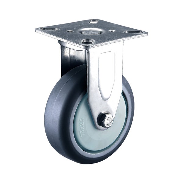 Caster Stainless Steel Fixed TPR 100mm 100kg Carousel 1