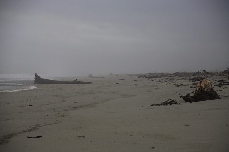 Haast Beach Carousel 1