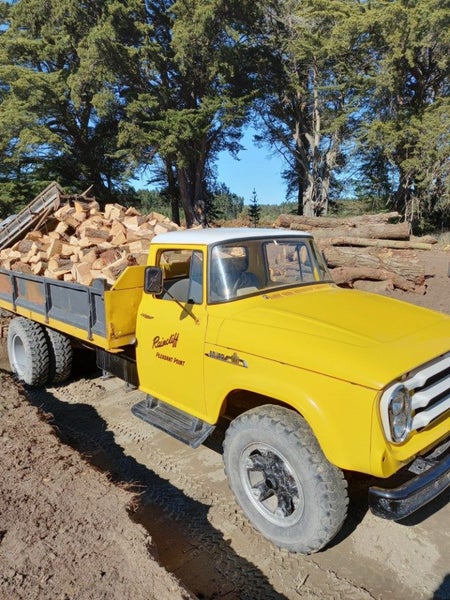 Firewood Carousel 1