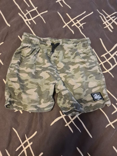 Boys Shorts - 2 pairs Carousel 2
