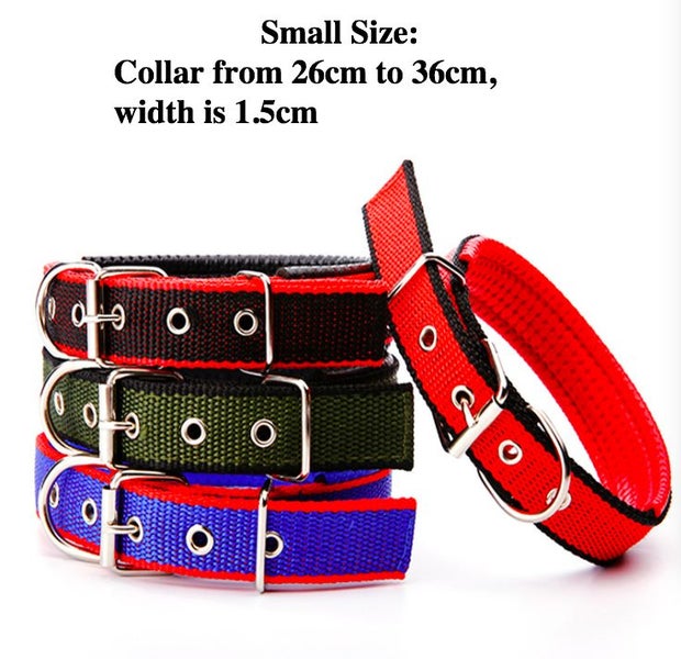 Dog Collar Comfortable Dog Collar High Quality Small size from 26cm to 36cm Carousel 1