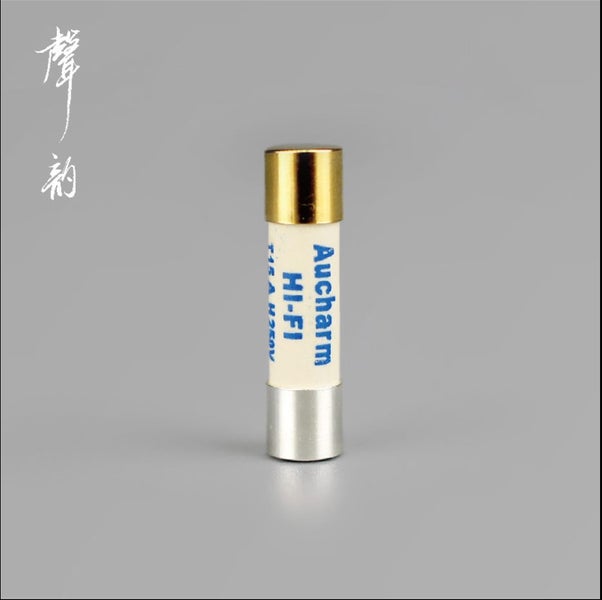 Aucharm Audio 5mm x 20mm Pure Silver Gold plated cap Slow blow fuse (EP087) Carousel 1
