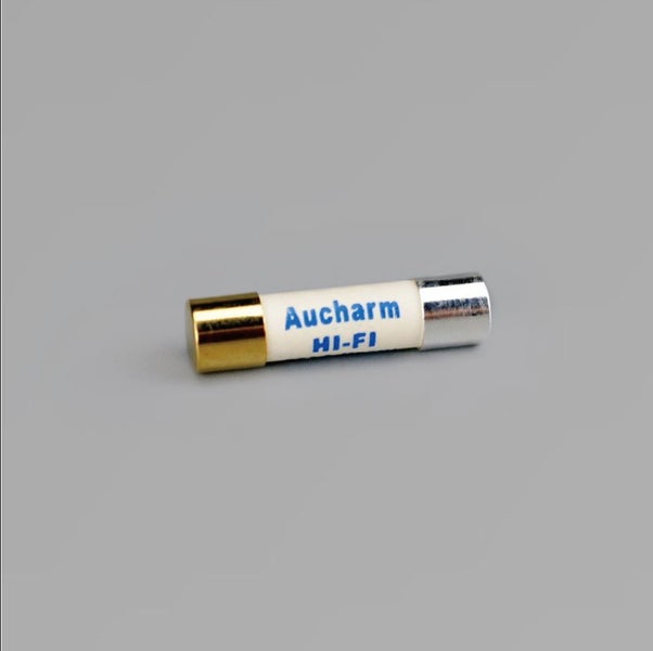 Aucharm Audio 5mm x 20mm Pure Silver Gold plated cap Slow blow fuse (EP087) Carousel 2