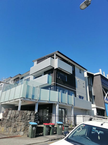 Roof & House Painter North Shore / Auckland Carousel 1