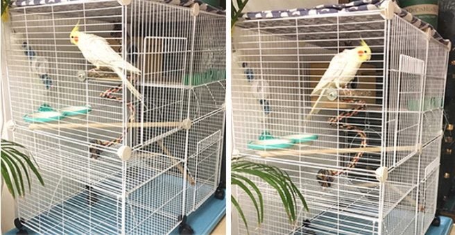 DIY Cage Playpen Fence Small Animal Cage System for Indoor Outdoor (Solid Resin) Carousel 15