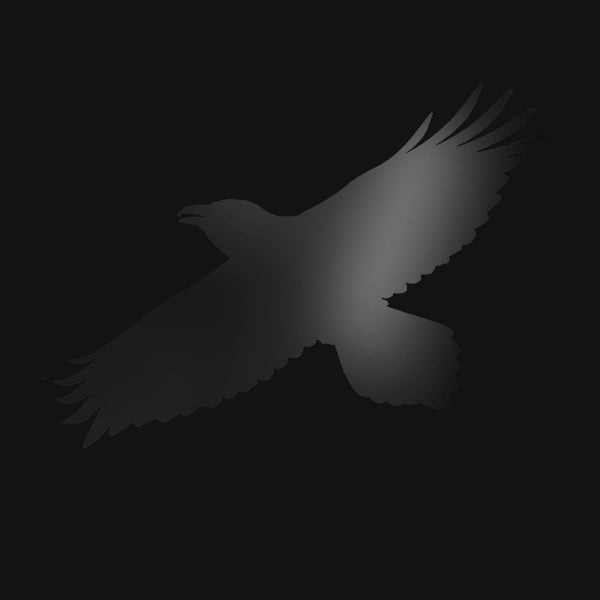 SIGUR ROS - ODIN'S RAVEN MAGIC (CD) Carousel 1