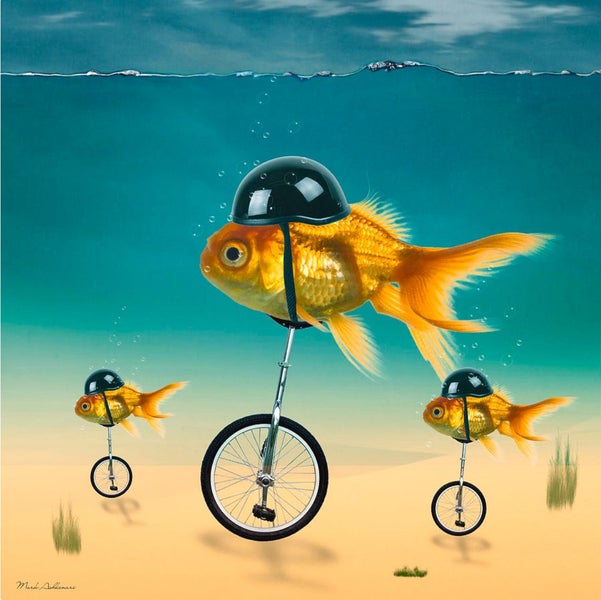 Free Shipping: Faicai Art Graffiti Canvas Wall Art - Gold Fishes Carousel 1