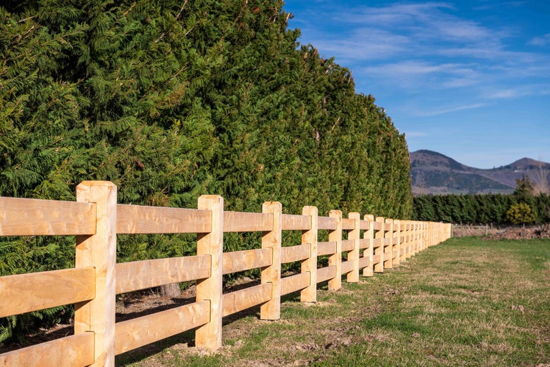 Macrocarpa Timber, Firewood, Post & Rail Fencing Carousel 1
