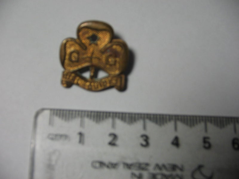 GIRL GUIDE PIN Carousel 1