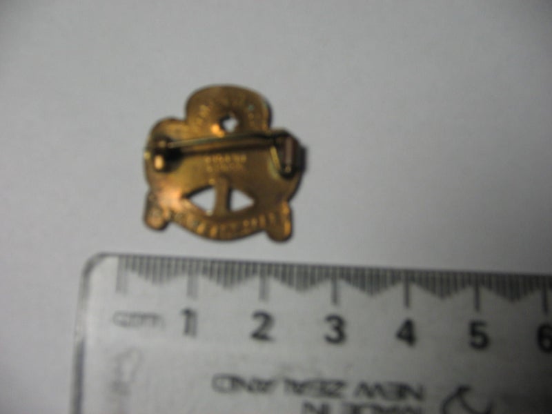 GIRL GUIDE PIN Carousel 2