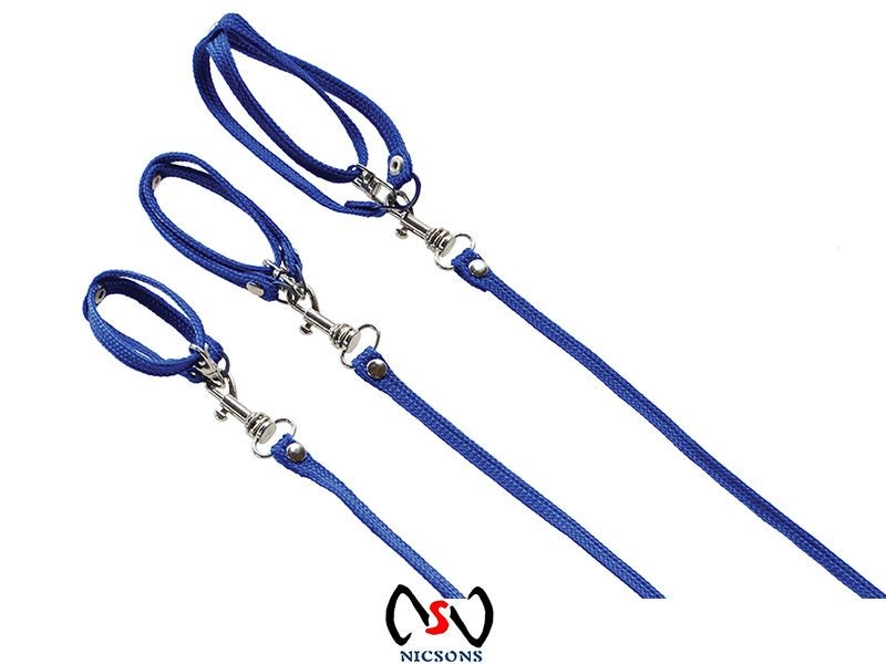 ALLPET Bird HARNESS & LEAD SET For Ringnecks Large Carousel 1