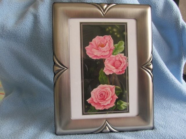 PICTURE/PHOTO FRAME Carousel 2