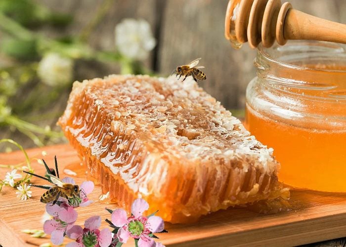 Fragrance Oil Honeycomb 50ml Carousel 1