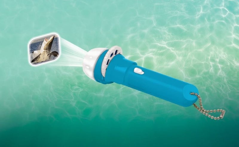 Shark Torch - Torch And Projector Carousel 2