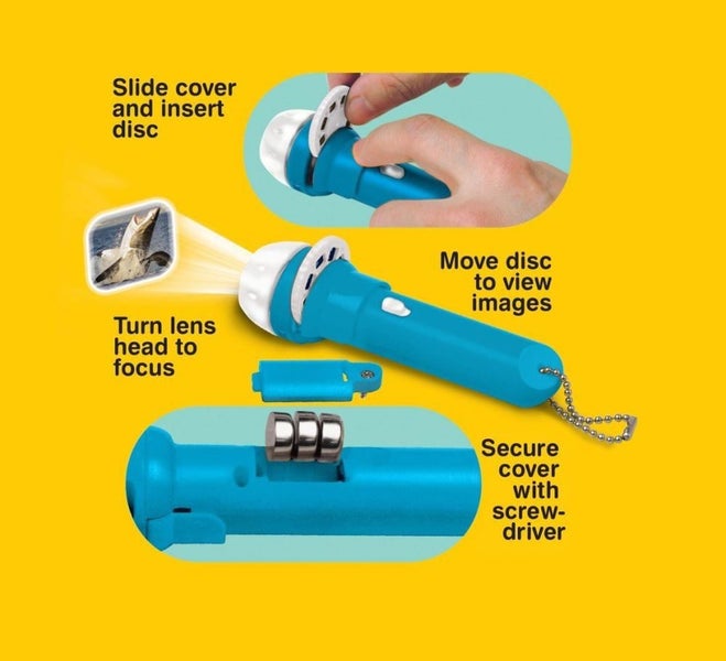 Shark Torch - Torch And Projector Carousel 3