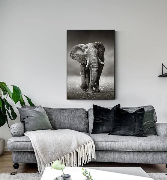 Canvas Art Print Wall Art Carousel 1