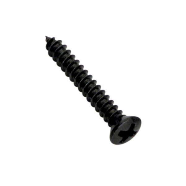 Champion 6G x 1in S/Tapping Screw Raised Head PH - 100pk Carousel 1