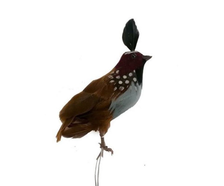 Ornament - California Quail (3?") Carousel 1