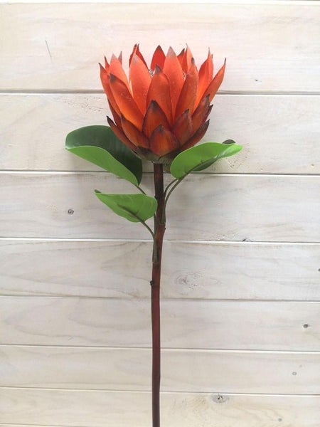 Artificial Protea (Orange) Carousel 1