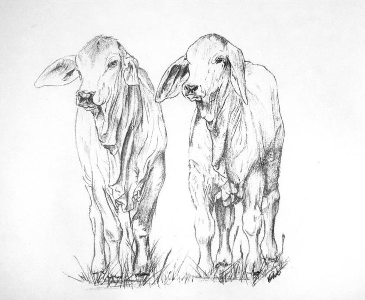 ORIGINAL Ballpoint Drawings Carousel 2