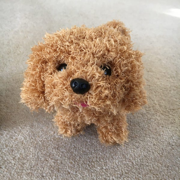 Puppy that walks, wags it tail and makes a noise. Great Present. Cant have a dog Carousel 1