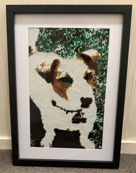 Picture 8x10 - Frame 11x14 Pet Carousel 1