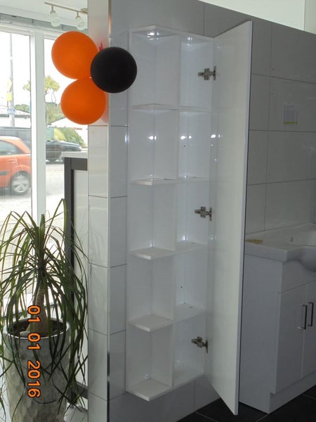 BRAND NEW Wallhung tall mirror cabinet Carousel 2